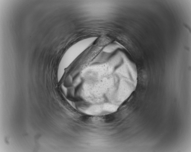 X0000098160327200805151235