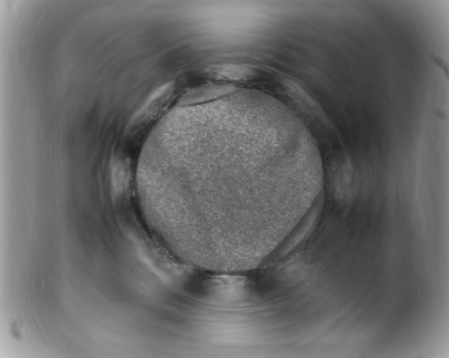 X0000098160328200805151235