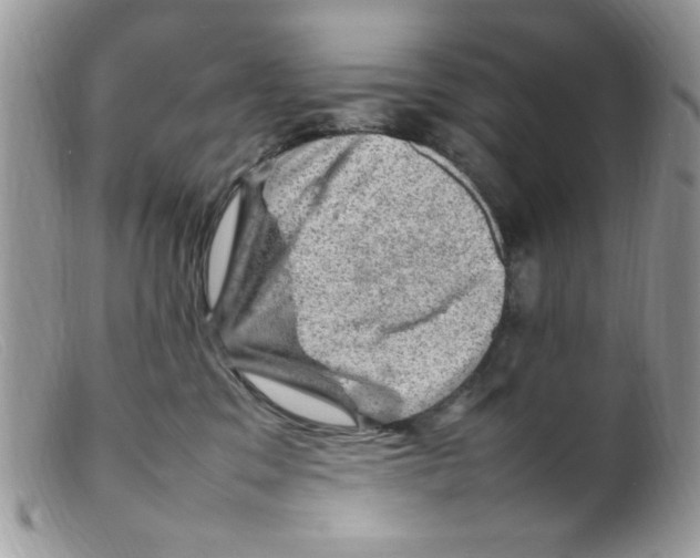 X0000098160329200805151235