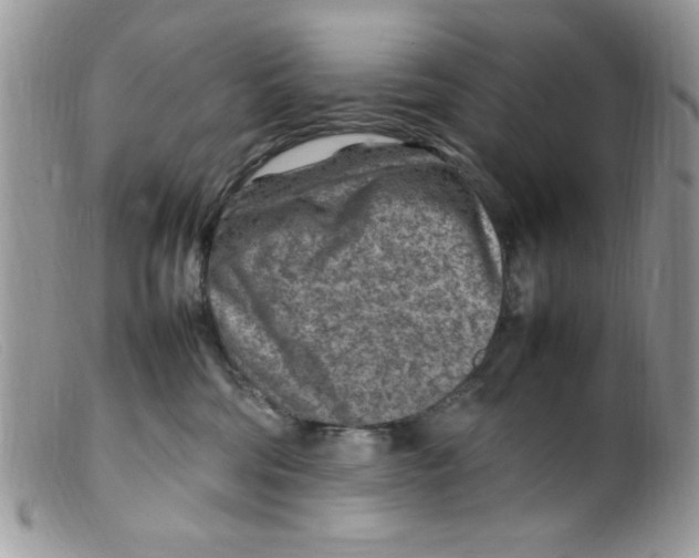 X0000098160330200805151235