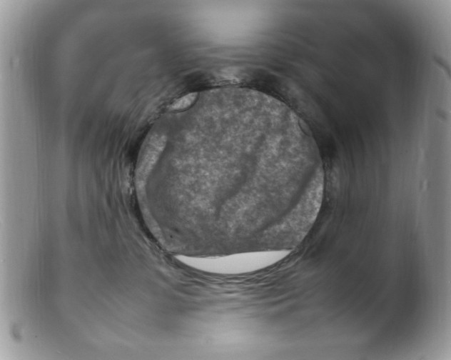 X0000098160331200805151235