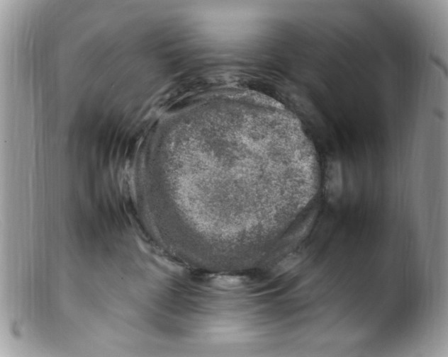 X0000098160332200805151235