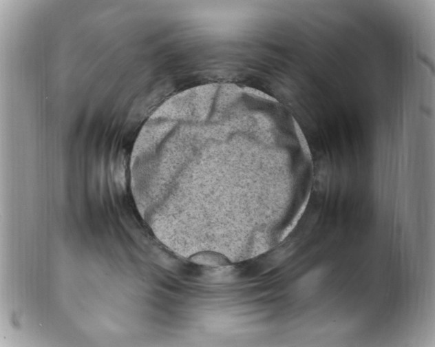 X0000098160334200805151235