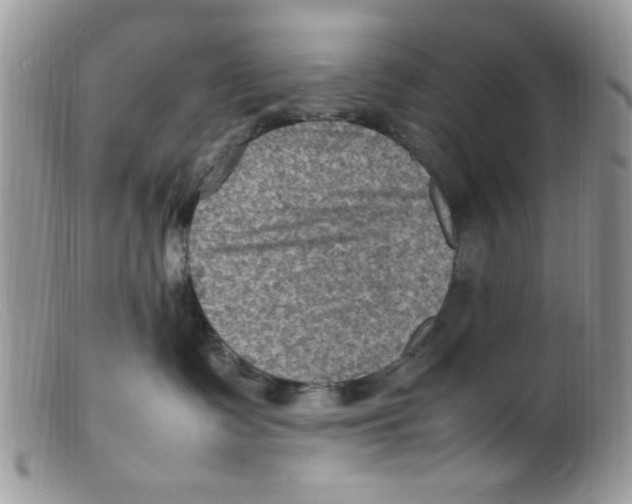 X0000098160335200805151235