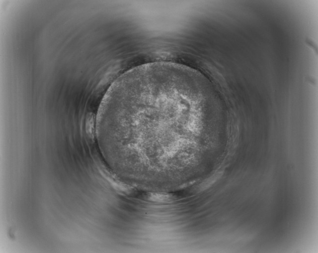 X0000098160336200805151235