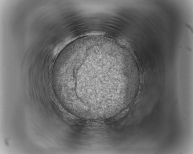 X0000098160337200805151234