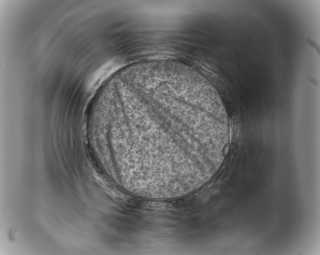 X0000098160339200805151234