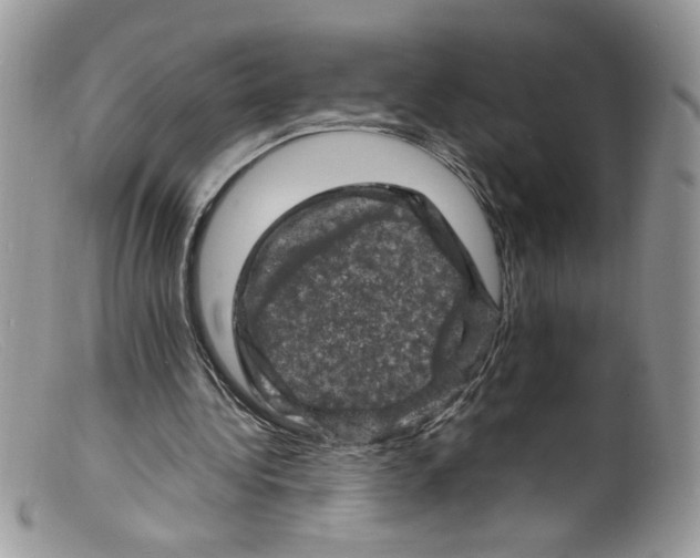 X0000098160340200805151234