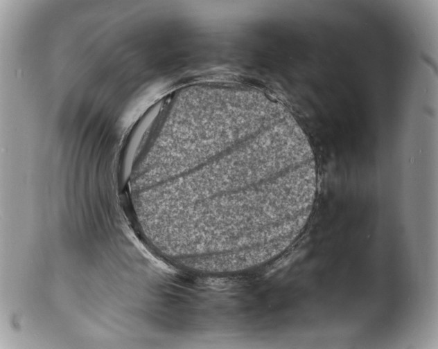 X0000098160341200805151234