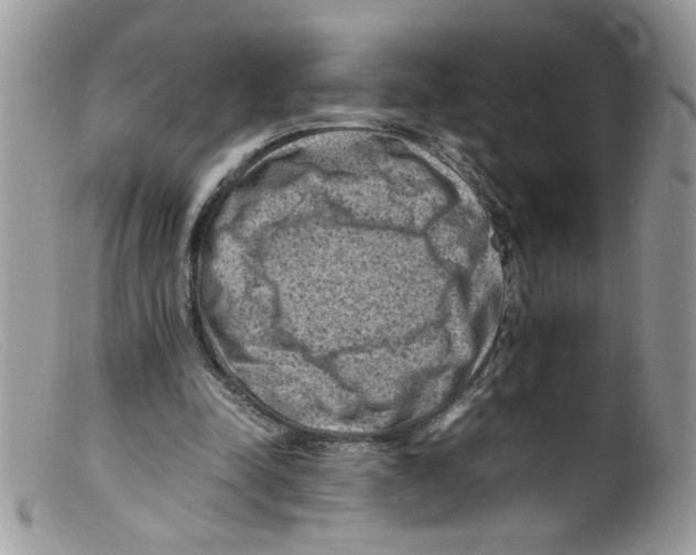 X0000098160342200805151234