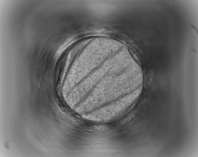 X0000098160344200805151234