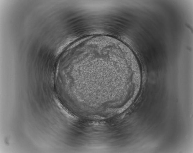 X0000098160345200805151234