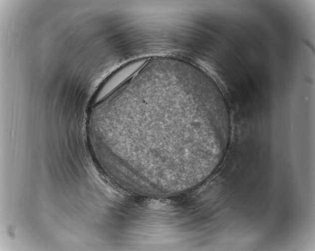 X0000098160346200805151234