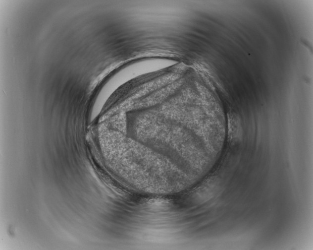 X0000098160348200805151234