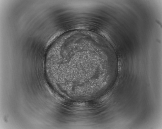X0000098160349200805151234