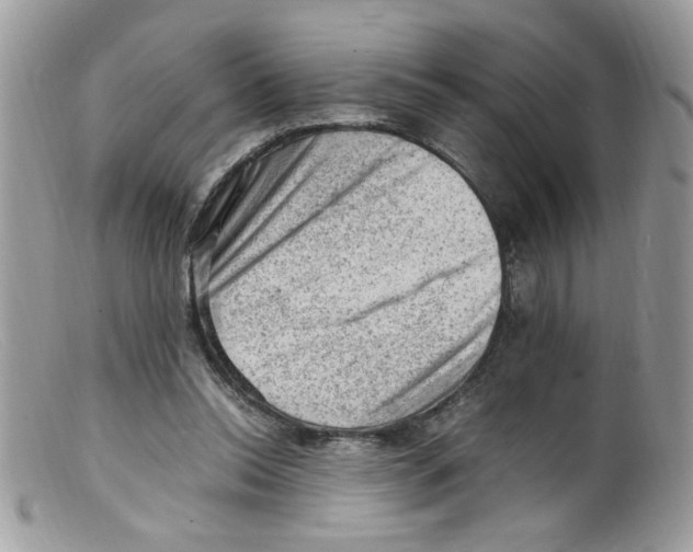 X0000098160350200805151234