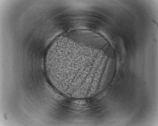 X0000098160353200805151234