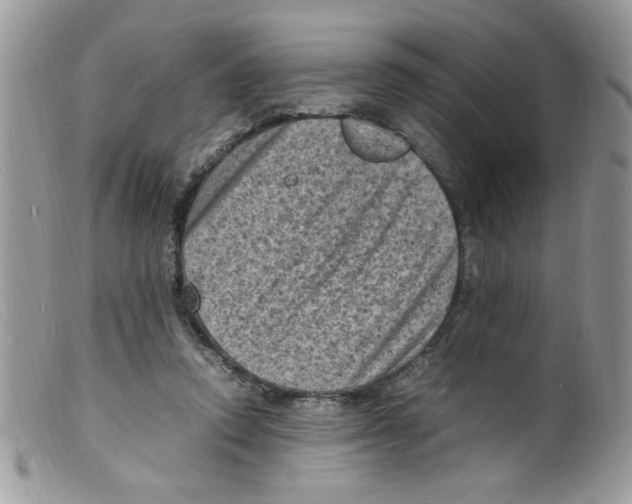 X0000098160354200805151234