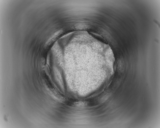 X0000098160356200805151234