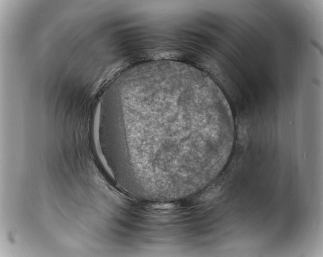 X0000098160357200805151234