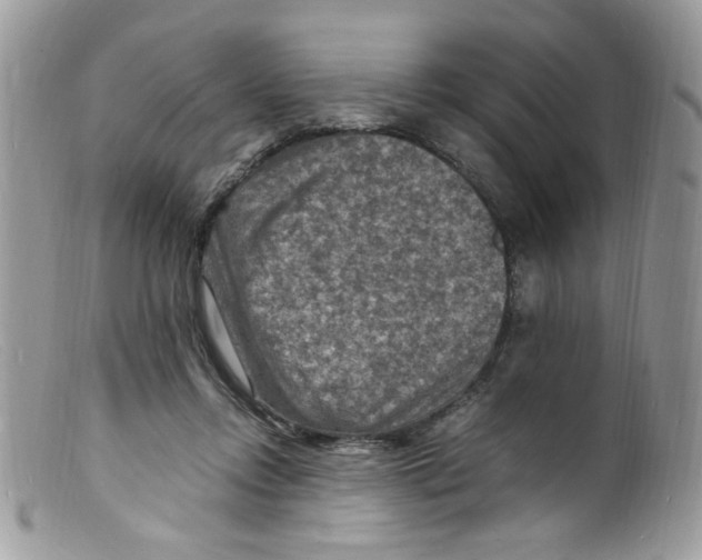 X0000098160358200805151234