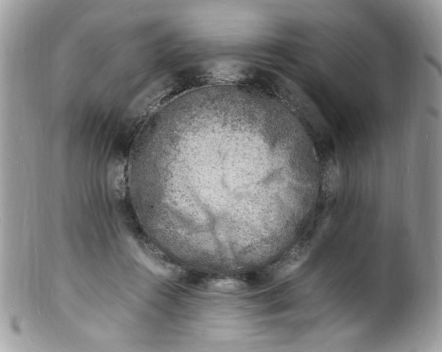 X0000098160360200805151234