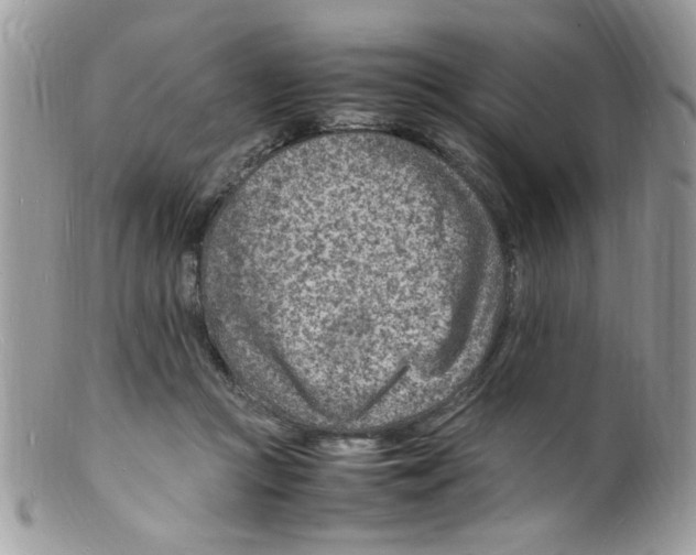 X0000098160361200805151234