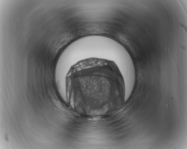 X0000098160362200805151234