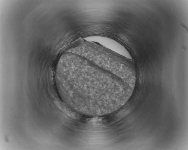 X0000098160366200805151234