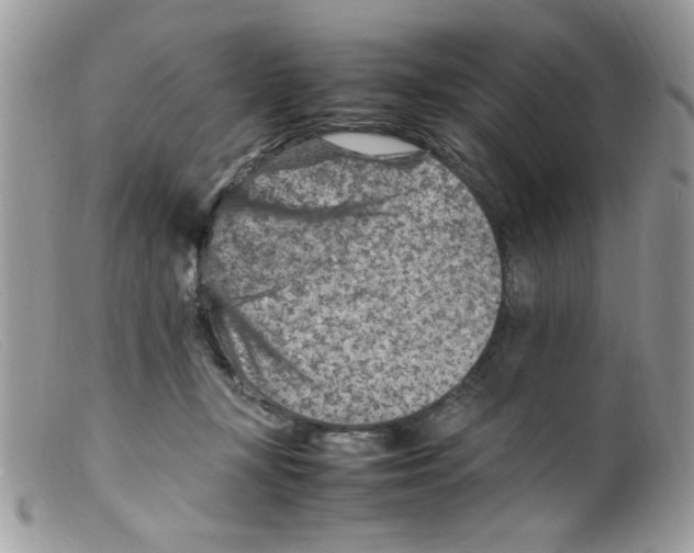 X0000098160367200805151235