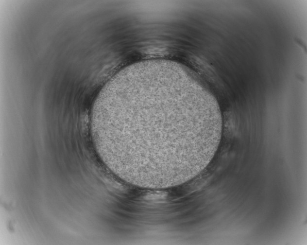 X0000098160369200805151235