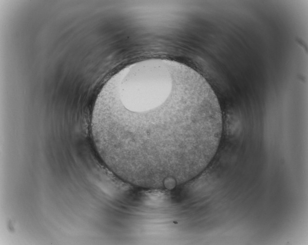 X0000098160370200805151235