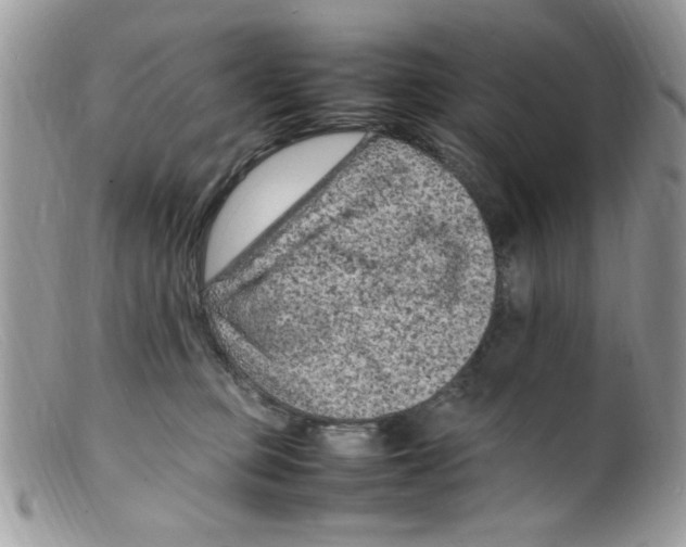 X0000098160373200805151235