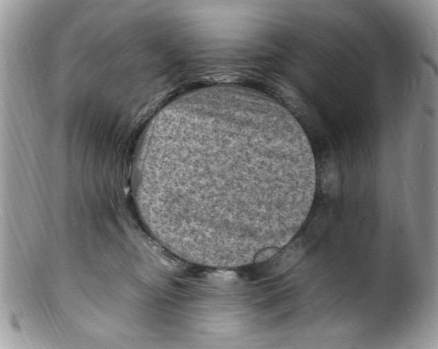 X0000098160374200805151235