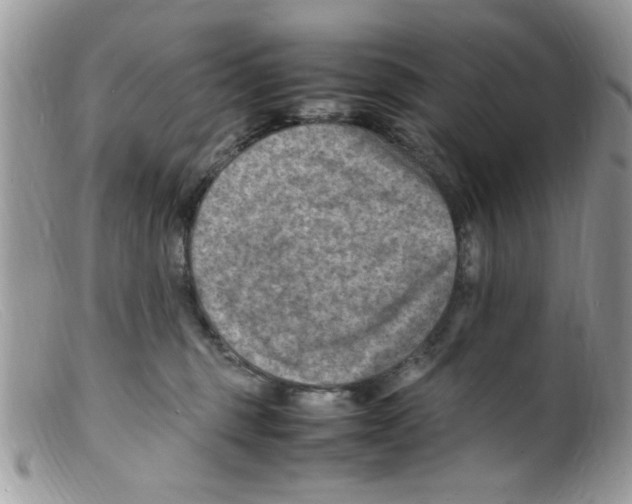 X0000098160375200805151235