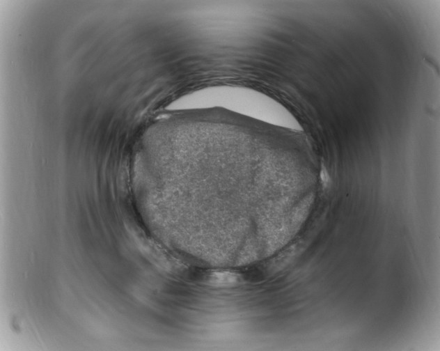 X0000098160376200805151235