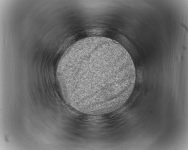 X0000098160377200805151235