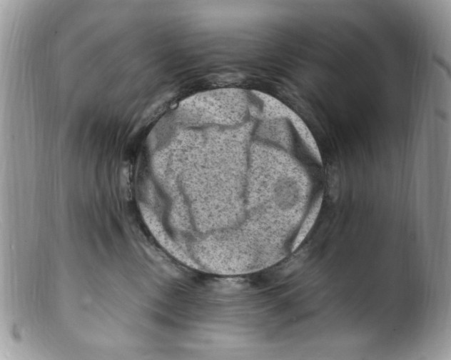 X0000098160378200805151235