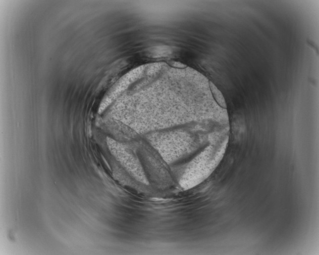 X0000098160379200805151235