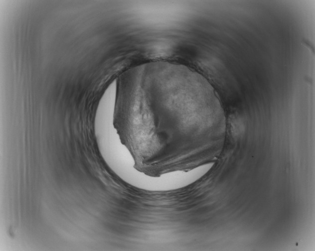 X0000098160380200805151235