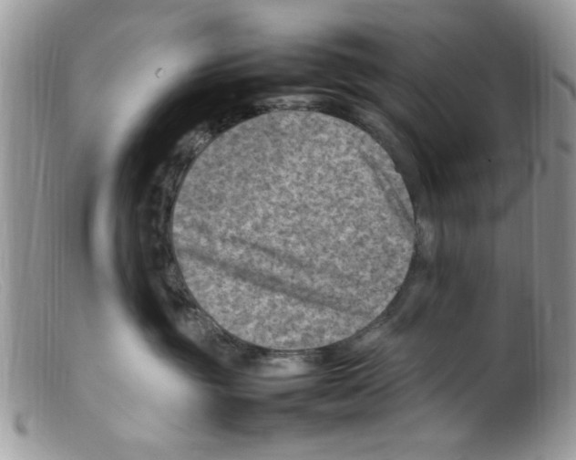 X0000098160381200805151235
