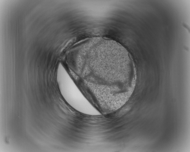 X0000098160384200805151235