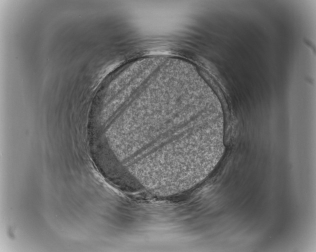 X0000098160385200805151234