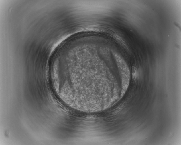 X0000098160388200805151234
