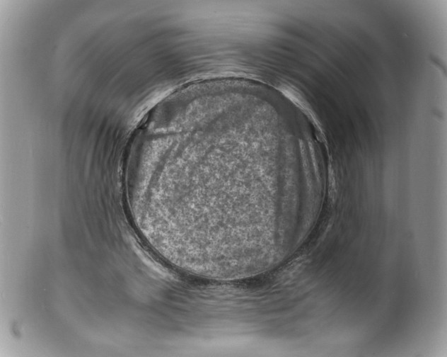 X0000098160389200805151234