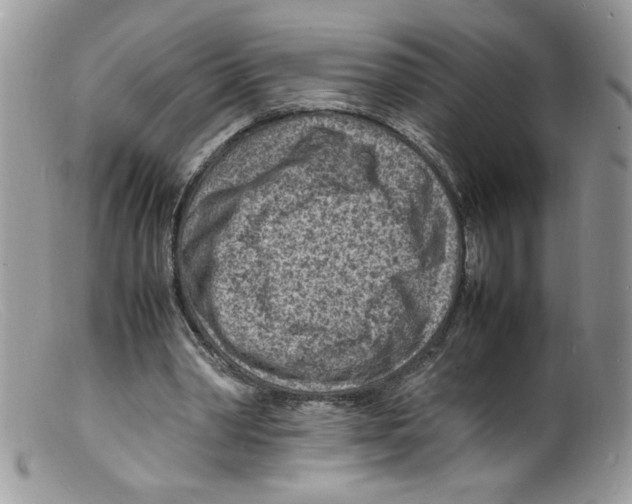 X0000098160390200805151234