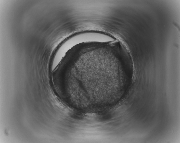 X0000098160391200805151234