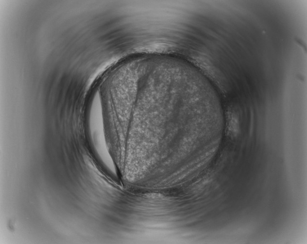 X0000098160392200805151234