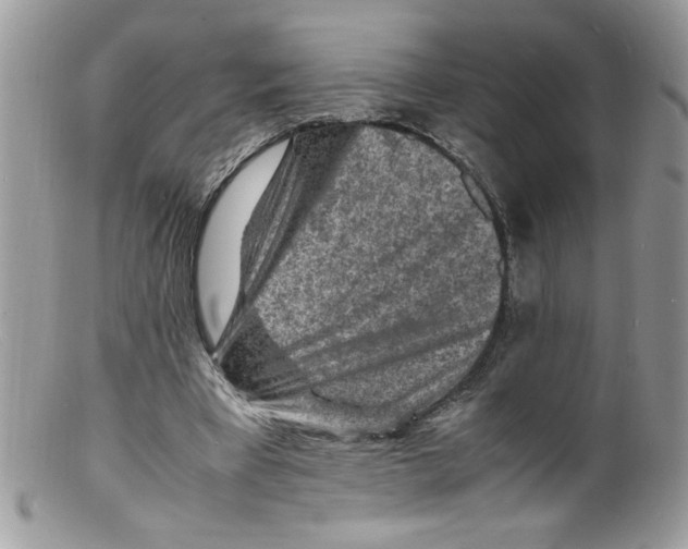 X0000098160393200805151234