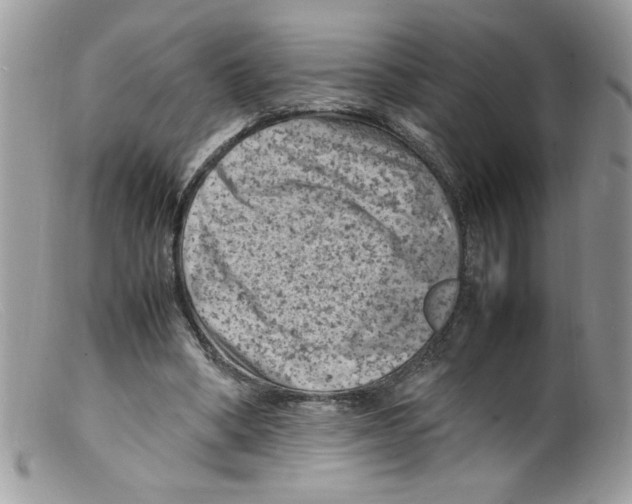 X0000098160394200805151234